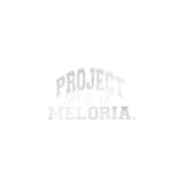 Project Meloria